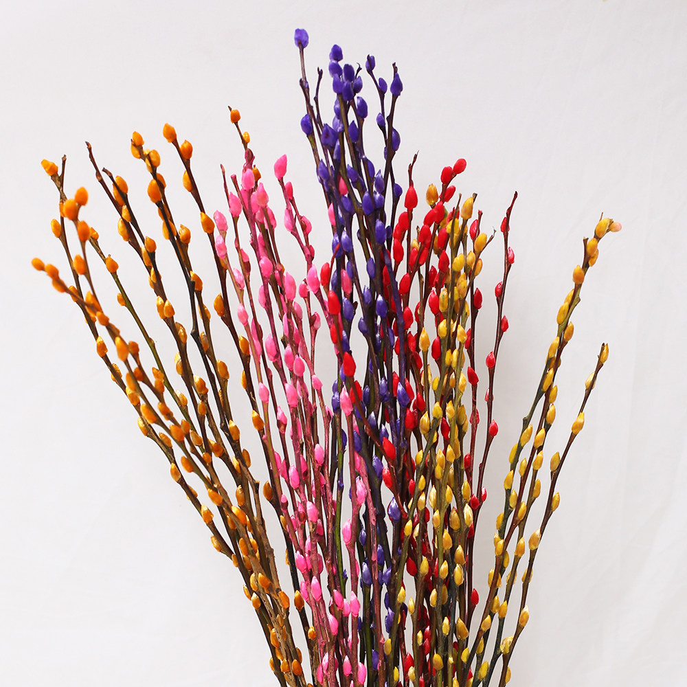 银柳真花红色鲜枝四季招财福桶干花年宵花卉水培植物同城速递