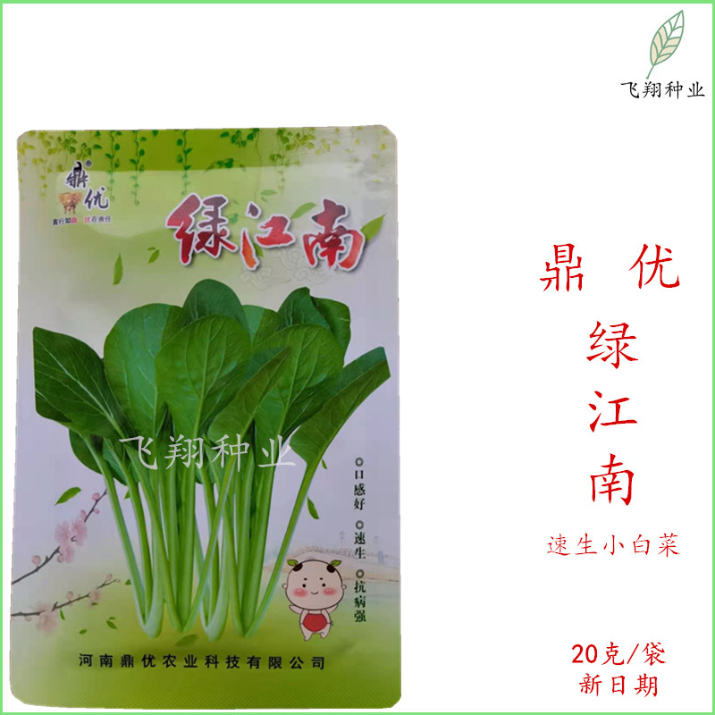 鼎优 绿江南小白菜种子速生青梗小白菜良种春夏秋冬季蔬菜种孑