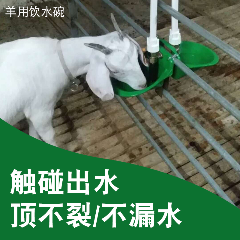 羊用饮水碗铜阀羊自动饮水器加厚抗摔羊喝水喂水养殖