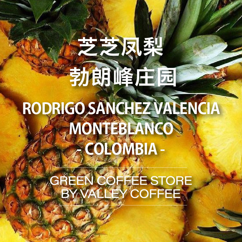山谷咖啡|23年新产季哥伦比亚勃朗峰庄园芝芝凤梨紫卡杜拉生豆1kg