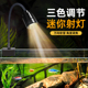 鱼缸迷你射灯南美鱼缸造景小型鱼缸夹灯溪流缸鱼缸灯led灯防水
