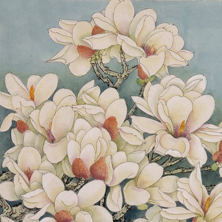 赵喜平《玉兰香》中国工笔画家协会会员