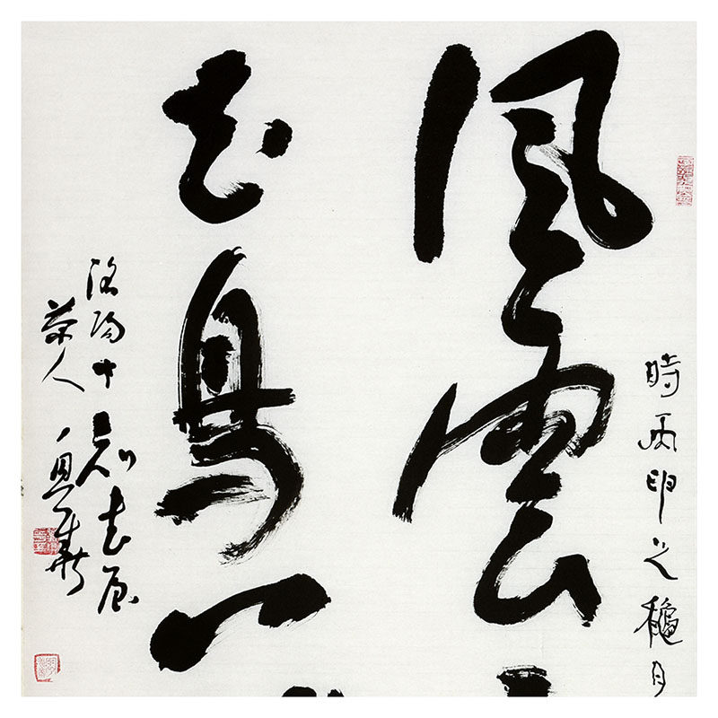 刘兴华《风云三尺剑 花鸟一床书》中书协会员