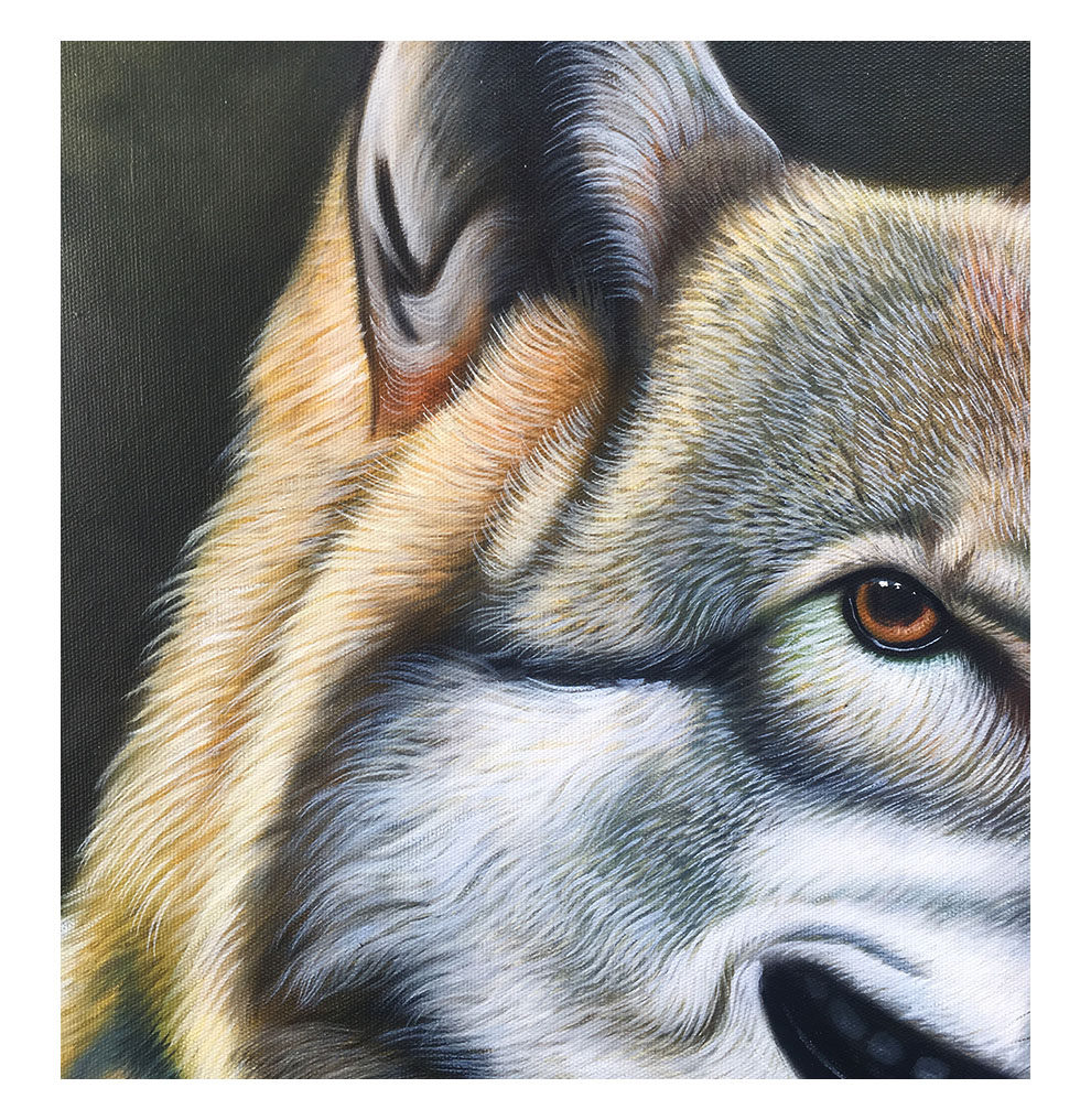 《狼王》叶泽仁 布面油画
