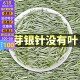 2024福建毫香福建荒山白毫银针春茶明前高山新白茶叶500g散装特级