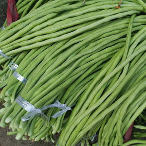 粗豇豆大别山农家自种新鲜露天蔬菜老胖长豆青豇豆角现摘架豇500g