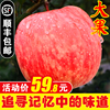 甘肅靜甯蘋果水果新鮮包郵10斤應季當季醜紅富士平果整箱吃的萍果 甘肅靜甯蘋果水果新鮮包郵10斤應季當季醜紅富士平果整箱吃的萍果
