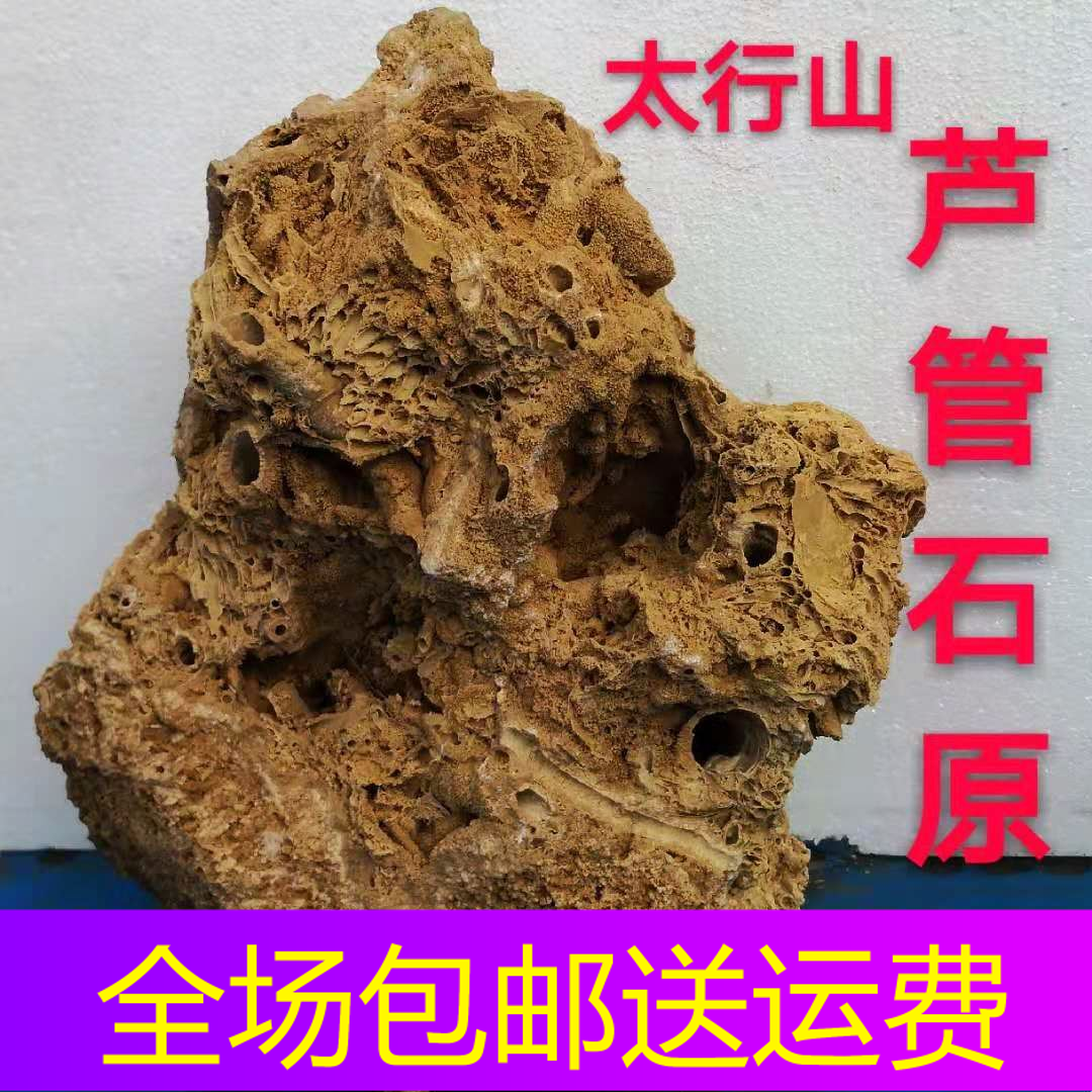 网红芦管石原石吸水石上水石奇石植物化石假山盆景麦管石脉管天然在类目 鲜花速递/花卉仿真/绿植园艺, 园艺用品, 其它园艺用品中 - 来自Buy2taobao.com提供专业的淘宝代购服务