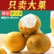 广西黄金罗汉果正品干货茶桂林永福特产独立包装低温脱水白肉大果