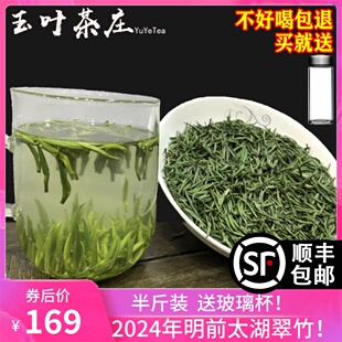 太湖翠竹2024年新茶无锡特产明前特级嫩芽竹叶雀舌绿茶散装250g