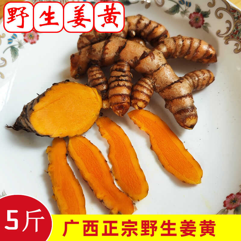 广西新鲜小黄姜野生姜黄生姜药用姜产
