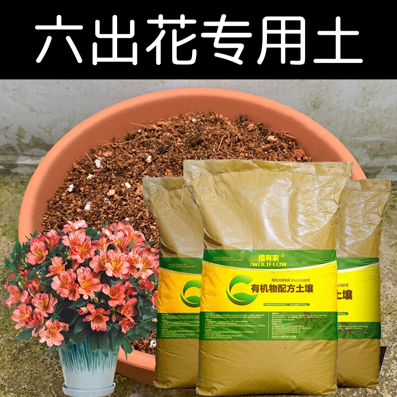 六出花土专用土配方营养土盆栽花卉椰糠泥炭土壤种植有机花土花肥
