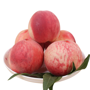 新鲜水果脆桃时令桃子 秦王桃 农