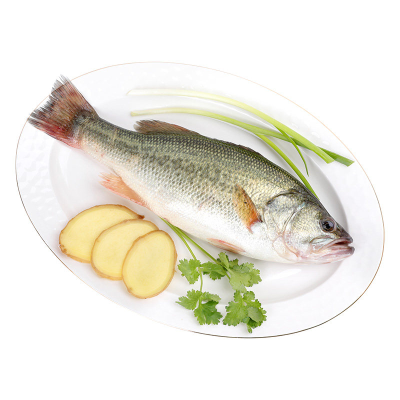 淡水鲈鱼300-400g/条