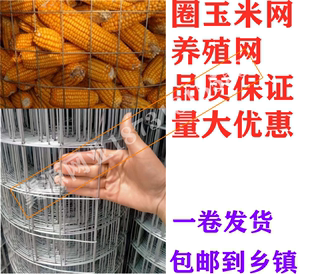 圈玉米网铁丝网围栏养殖网装玉米笼钢丝镀锌电焊网养鸡护栏防护网