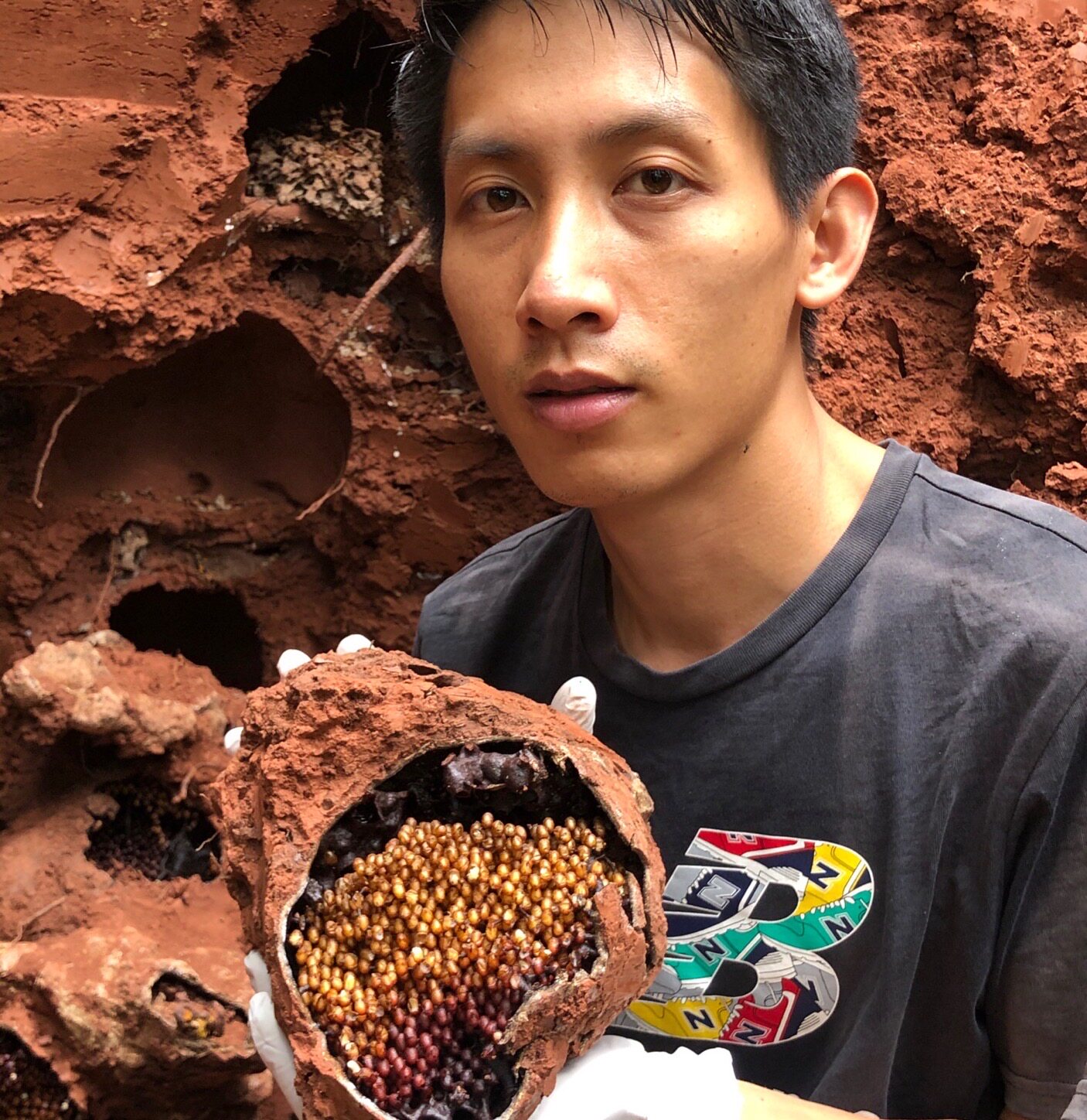 直播云南西双版纳土树酸蜂蜜无刺蜂银蜂液态蜜花粉500克申通包邮