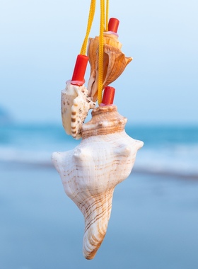 精品天然海螺号角超大海螺贝壳哨子儿童玩具响亮螺号可吹喇叭口哨