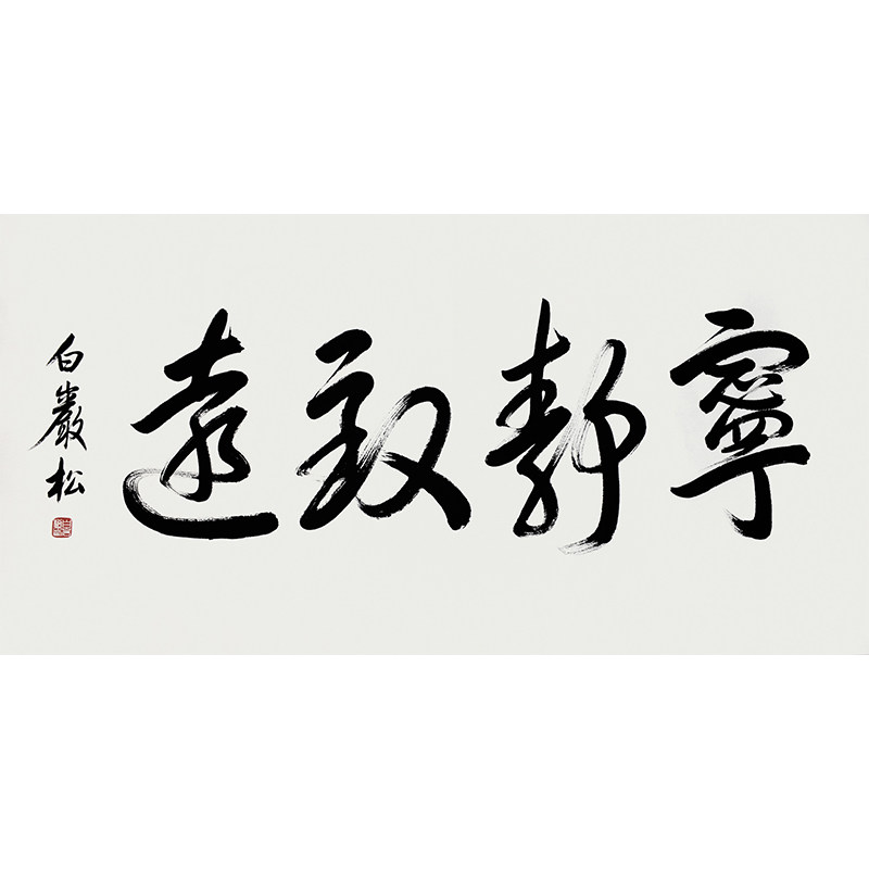 白岩松《宁静致远》