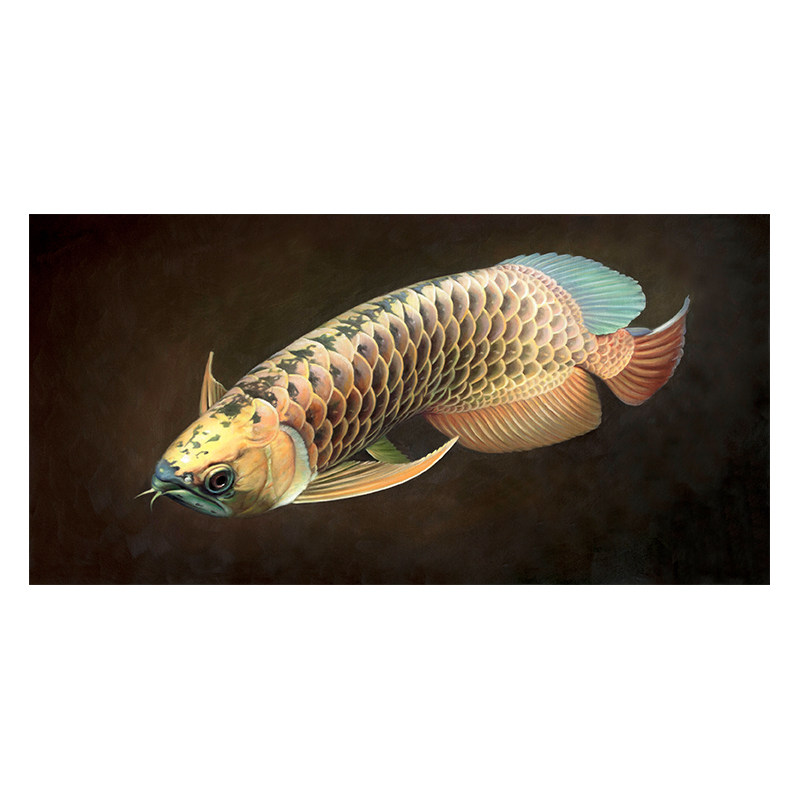 苏章峰《龙鱼系列》收藏级 写实精品油画