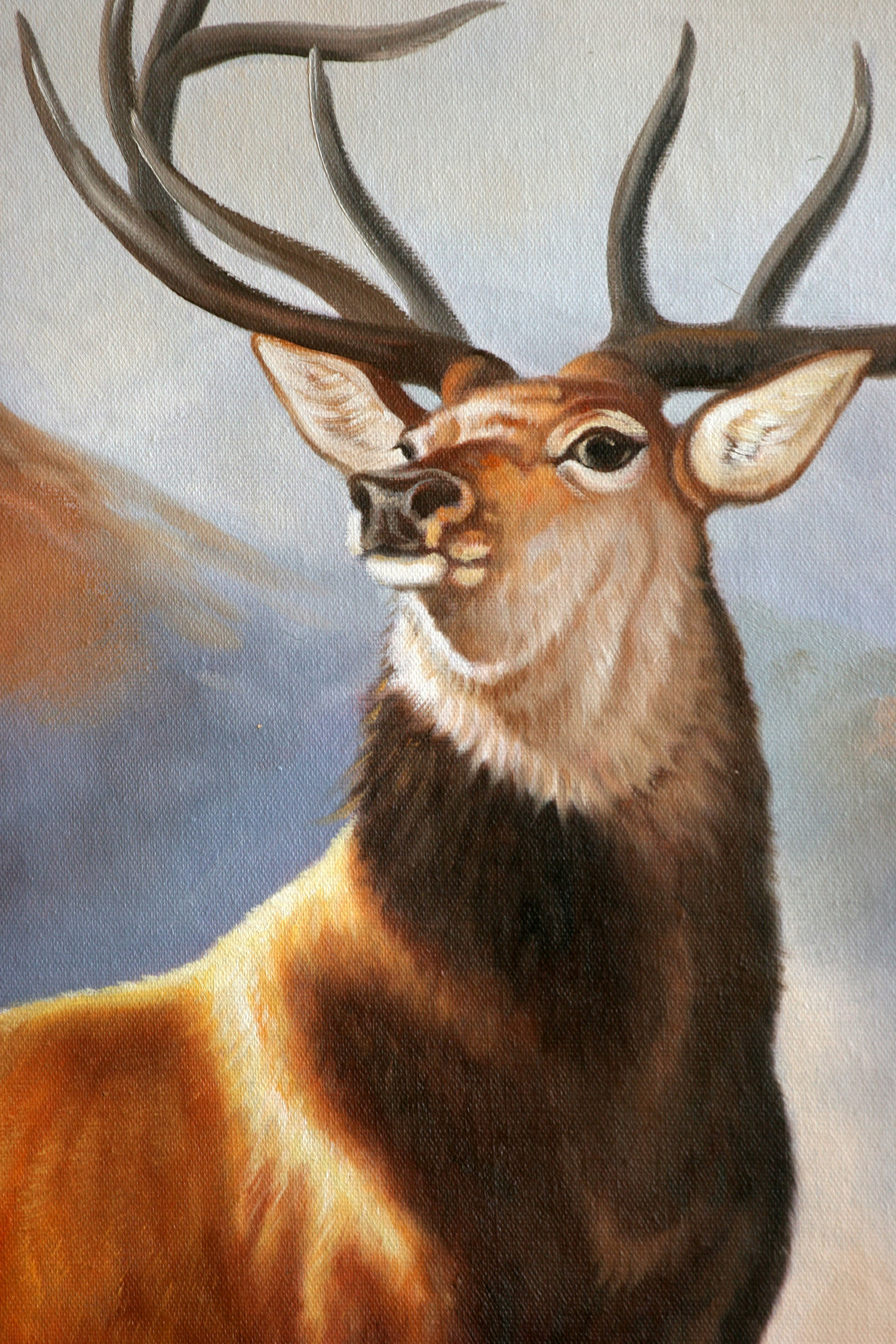 买得起的艺术周末专场四十七  拍品详情 进入该拍品专场   起拍价: &