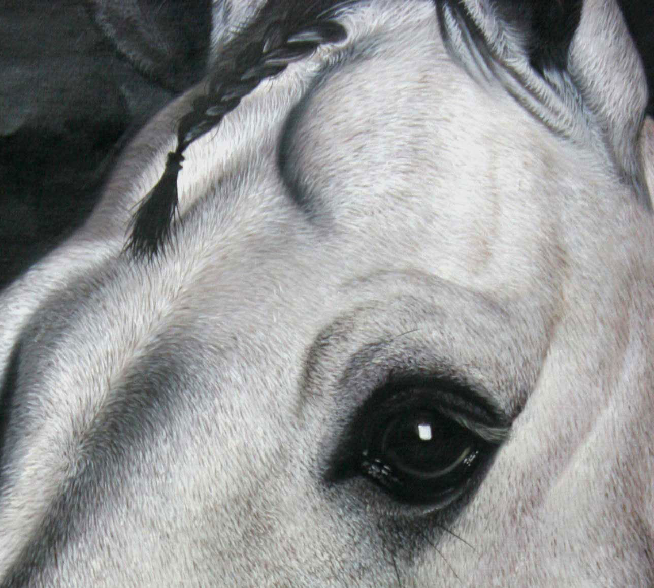 黄剑波 超写实系列《马头4-2》限量收藏级 实力派画家