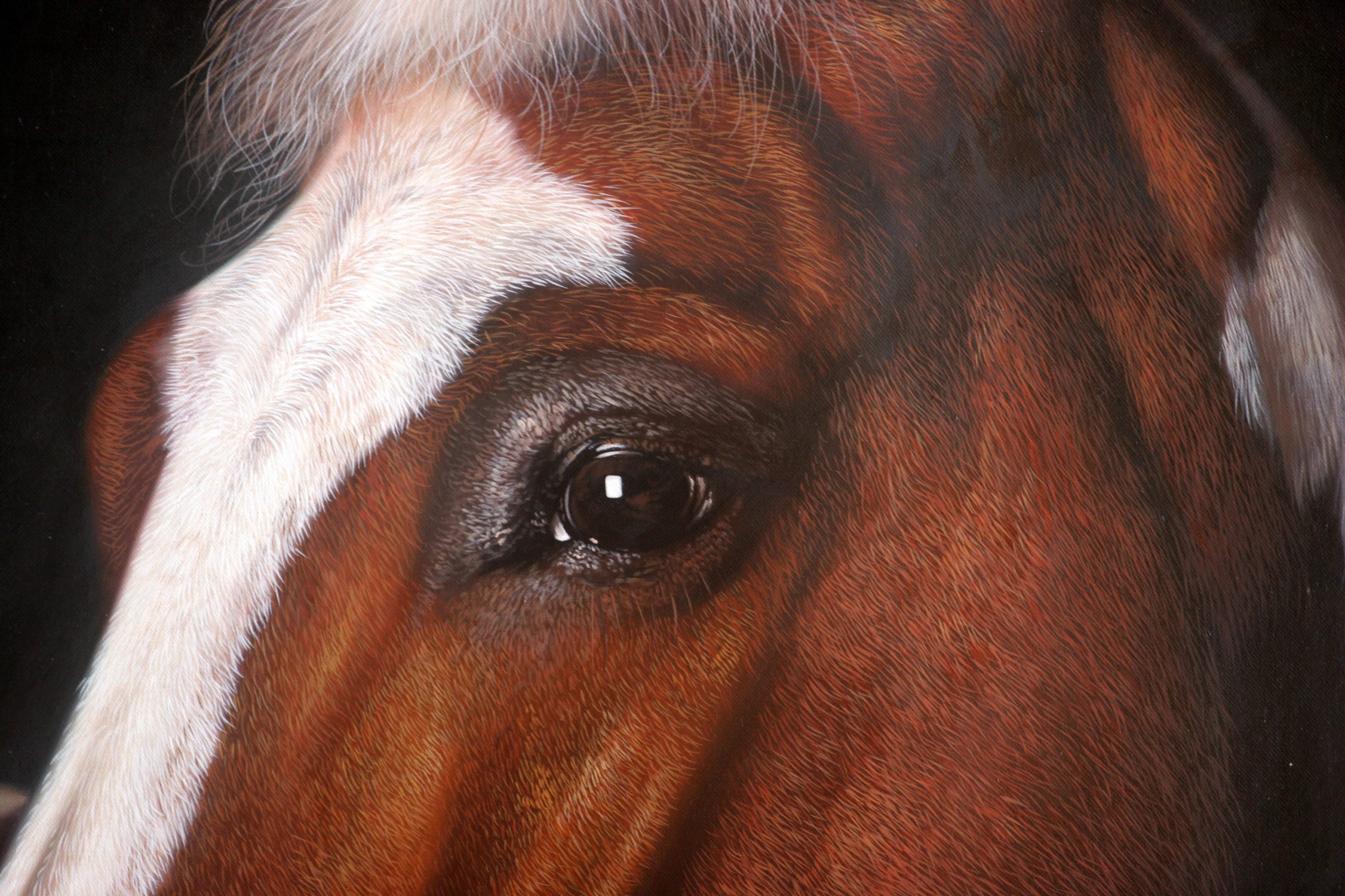 黄剑波 超写实系列《马头11-3》限量收藏级 实力派画家