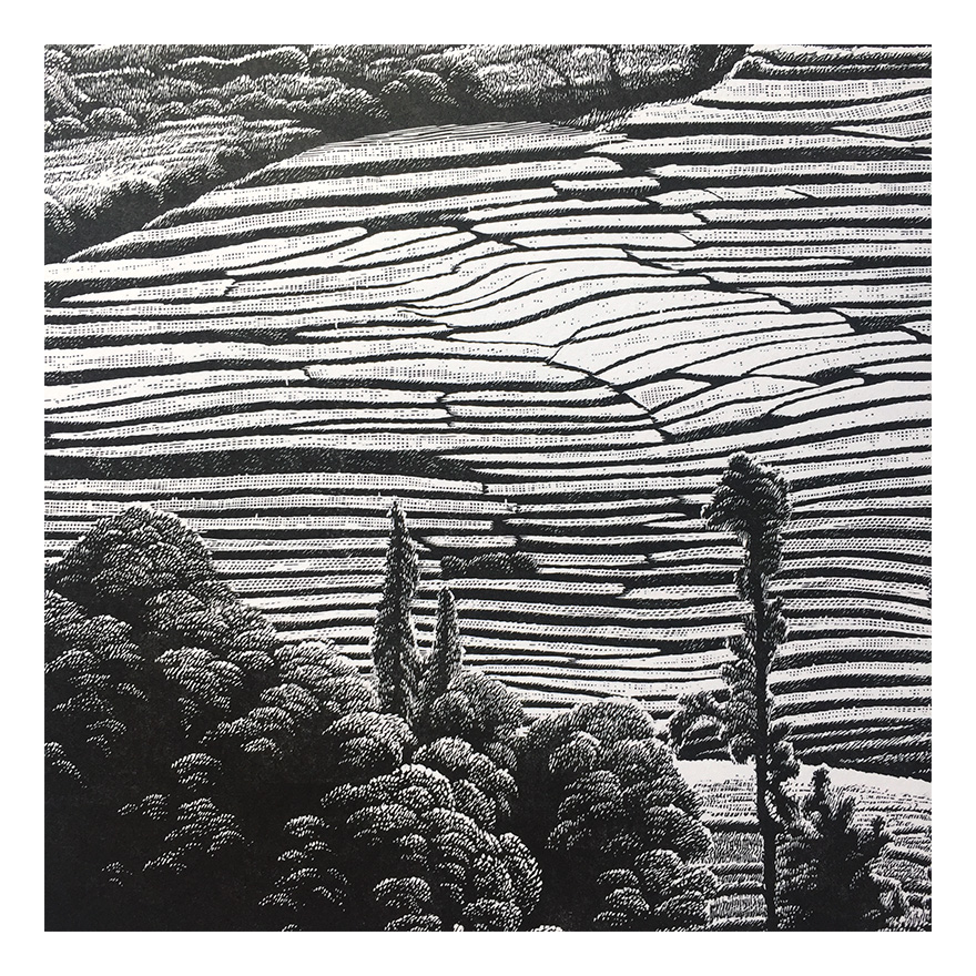 【版画】罗保根《乡情之二十二》 绝版木刻