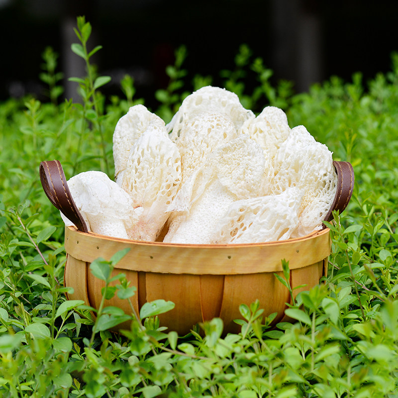 特级竹荪新鲜竹荪花特级野生菌菇非干货500g贵州织金红托竹笙厚肉(去