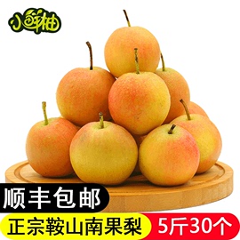 【小鲜柚】鞍山南果梨5斤海城南国梨子香水东北特产新鲜水果包邮