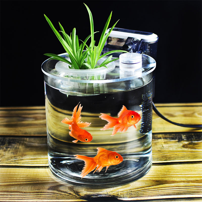 一折圆柱鱼缸 客厅