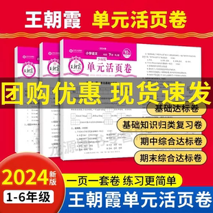 2024版王朝霞小学试卷活页卷下册一二三四五六年级单元测试人教语文北师苏教数学pep英语达标100分海淀实验班全能练考活跃卷测试卷