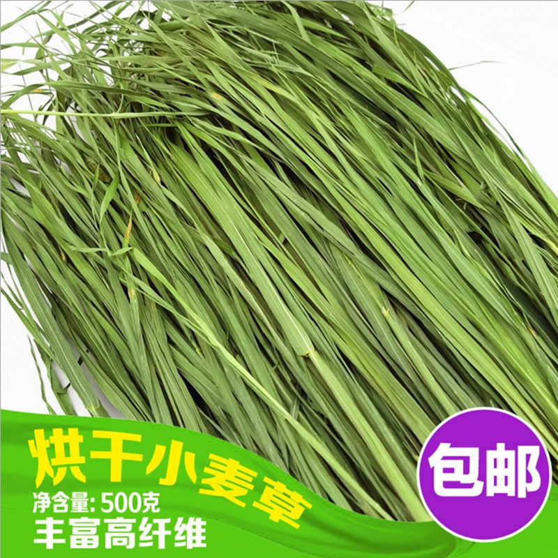 包邮新大麦草小麦草草段豚鼠荷兰猪兔子龙猫干草牧草饲料500克