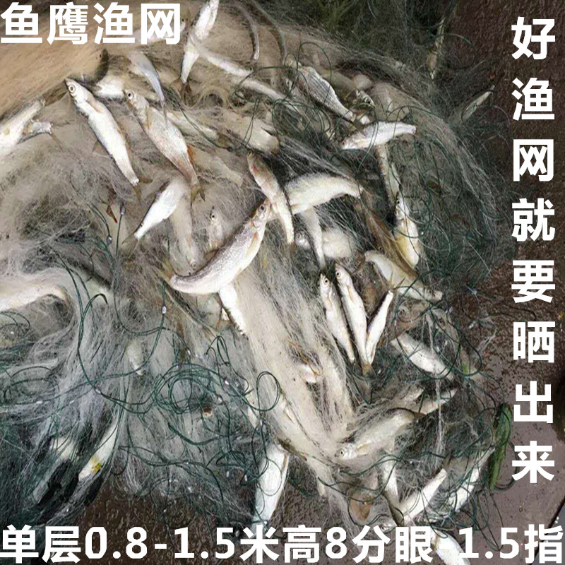 小白条鱼网单层粘网丝网沉网0.8米至1.5米高包邮渔网浮网1.5指1指在类目 户外/登山/野营/旅行用品, 垂钓装备, 鱼网/虾笼/其它渔具中 - 来自Buy2taobao.com提供专业的淘宝代购服务