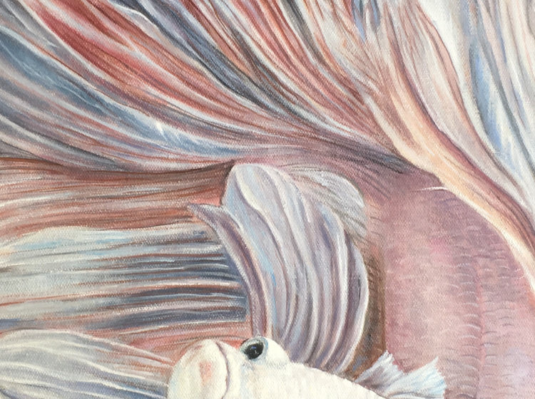 钟丽荣《斗鱼》布面油画|50*60cm