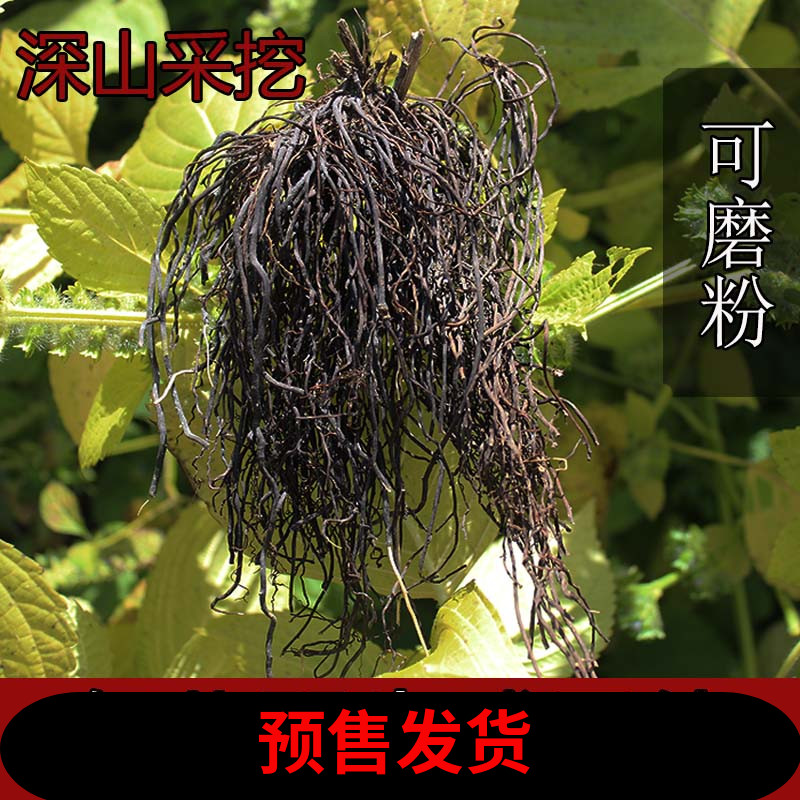 东北野生威灵仙500g野生中药材威灵仙粉老虎须中草药泡脚新货正品|ruв категории традиционные питательный пища, другие традиционные тоник, Ломонос - от Buy2taobao.com для оказания профессиональной услуги покупки агента Taobao