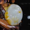 【壹路連科蓮花 白鹭 錦鯉】新疆和田玉挂件吊墜天然皮色把件籽料 【壹路連科蓮花 白鹭 錦鯉】新疆和田玉挂件吊墜天然皮色把件籽料