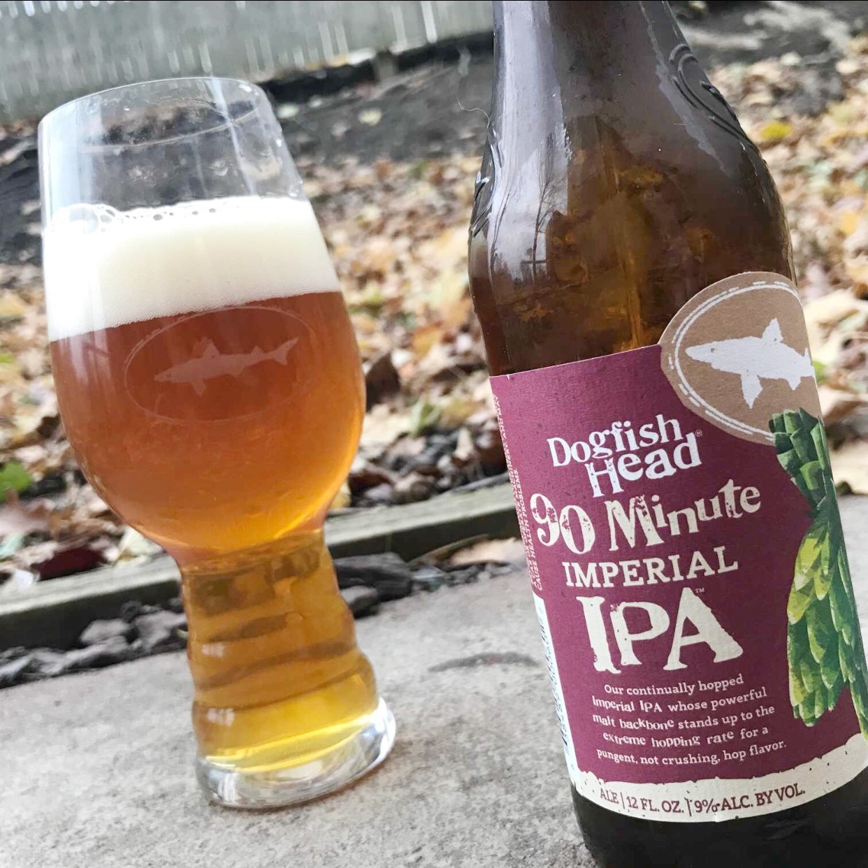 美国精酿 dogfish head ipa 角头鲨 90分钟 ipa 啤酒355ml*24瓶