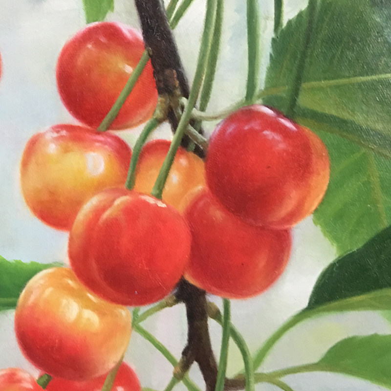 陈军《樱桃》布面油画