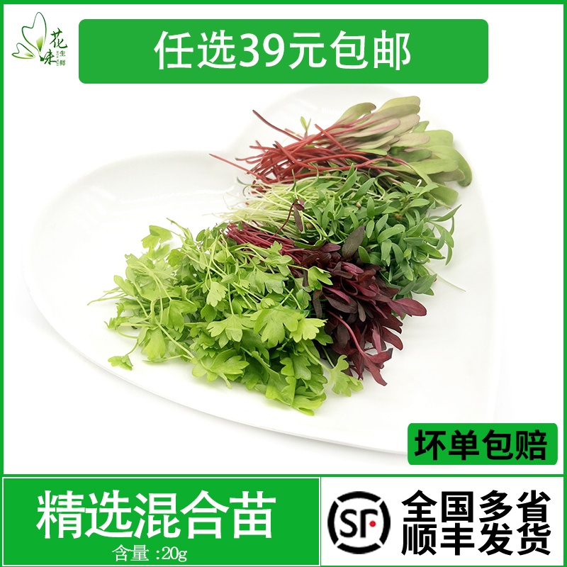 新鲜混合芽苗菜  可食用沙拉蔬菜西