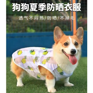 中小型犬幼犬夏季防掉毛夏装宠物狗狗衣服薄款春秋柯基泰迪背心潮