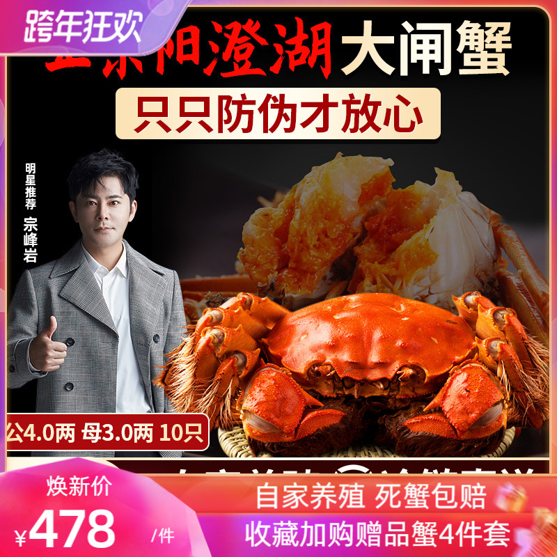 正宗阳澄湖大闸蟹10只特大鲜活螃蟹礼盒红膏可全母官方旗舰海鲜|ruв категории водной мясо/свежие фрукты и овощи/еда, морепродукты/водные продукты/изделия, краб, краб - от Buy2taobao.com для оказания профессиональной услуги покупки агента Taobao