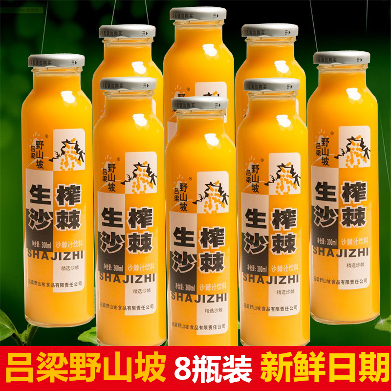 沙棘汁野山坡吕梁山西野生生榨网红玻璃瓶好喝的果汁饮料一箱整箱在类目 咖啡/麦片/冲饮, 饮料, 果味饮料中 - 来自Buy2taobao.com提供专业的淘宝代购服务