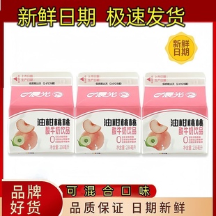 油柑桃桃晨光酸牛奶饮品236ml*6盒营养发酵乳深圳经典口味酸乳