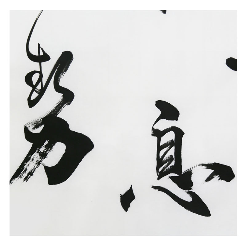 孔繁华《天行健》孔子第74代传人 中国孔子书画院