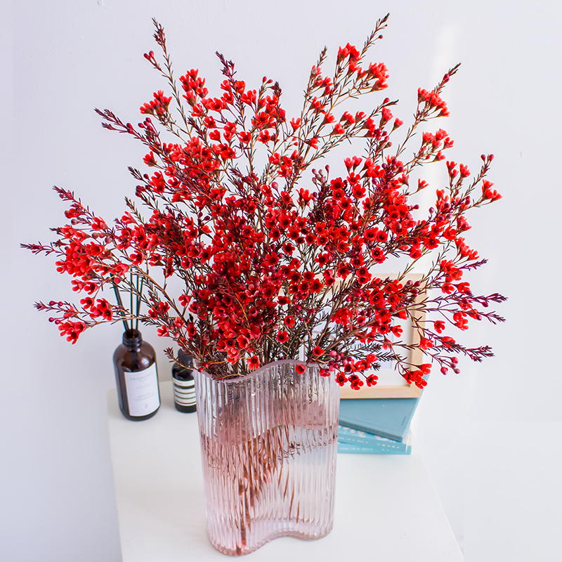 红色澳梅鲜切花国产家用插花水养办公室腊梅鲜花可做干花母亲节礼
