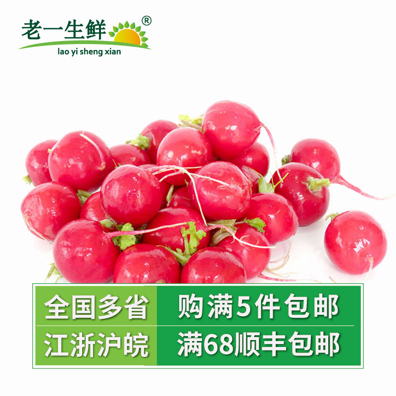 【老一生鲜】新鲜樱桃萝卜 500g 迷你小萝卜小红萝卜小红圆萝卜在类目 水产肉类/新鲜蔬果/熟食, 新鲜蔬菜/蔬菜制品, 新鲜蔬菜, 萝卜中 - 来自Buy2taobao.com提供专业的淘宝代购服务