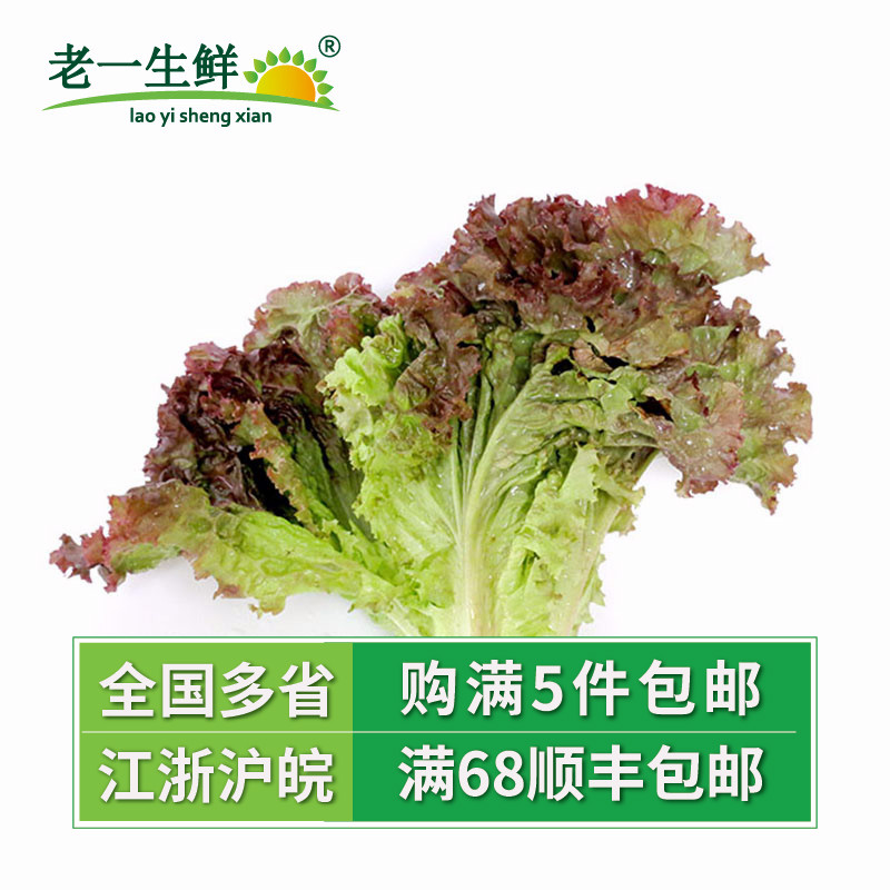 【老一生鲜 西餐新鲜 红叶生菜 紫叶 罗莎红 沙拉菜紫生菜 500g