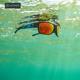 AZTRON阿斯创水上运动太阳镜超轻偏光防辐射户外桨板冲浪漂浮眼镜