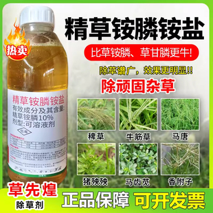 精草铵磷铵盐正品草先煌草胺安氨膦磷一扫柑橘园杂草农药光除草剂