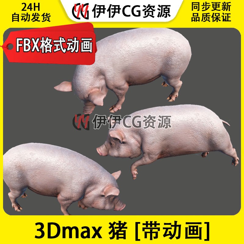 3D模型3DMax动物模型pig畜